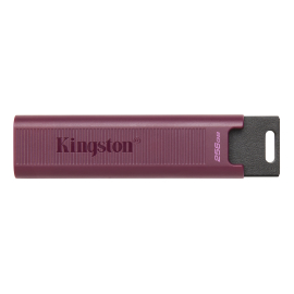 USB memorija KINGSTON DTMAXA/256GB/DataTraveler Max/3.2/crna